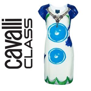 Roberto Cavalli Class Multicolored silk sheath Dress with Flutter Cap Sleeves